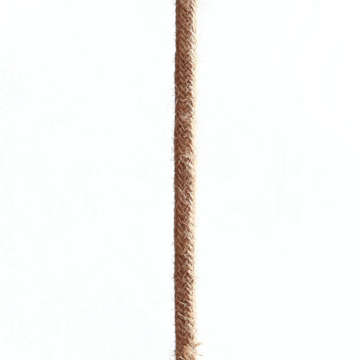 Kattovalaisin, 1-haarainen - MAGNUS JUTE